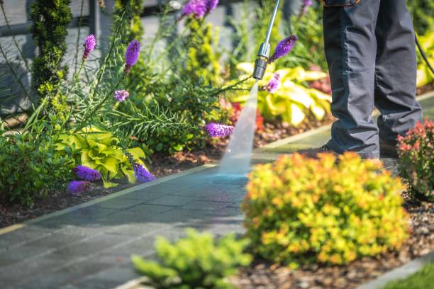 Best Gutter Cleaning  in Haiku Pauwela, HI